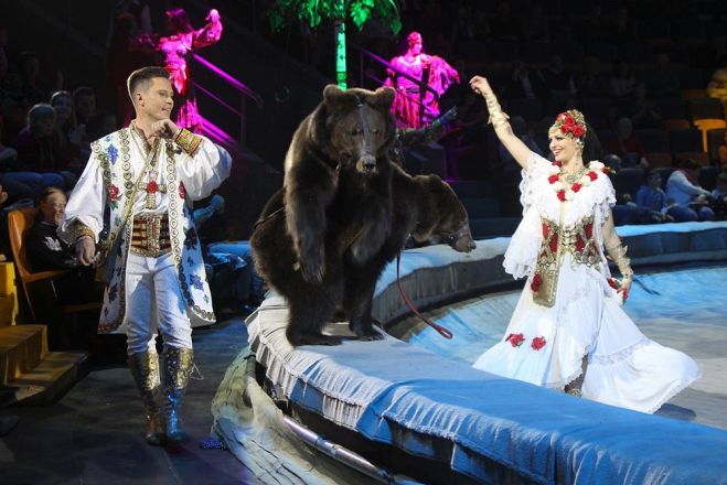 Леопарды под куполом цирка: премьера шоу &laquo;Баронеты&raquo; (ФОТО) - фото 37