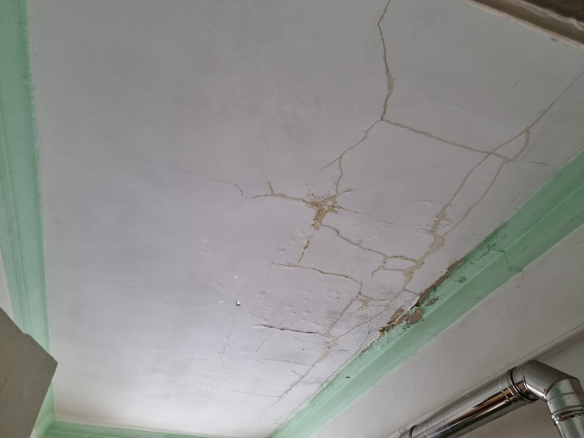Потолок обрушился в квартире замдекана Нижегородской консерватории - фото 2
