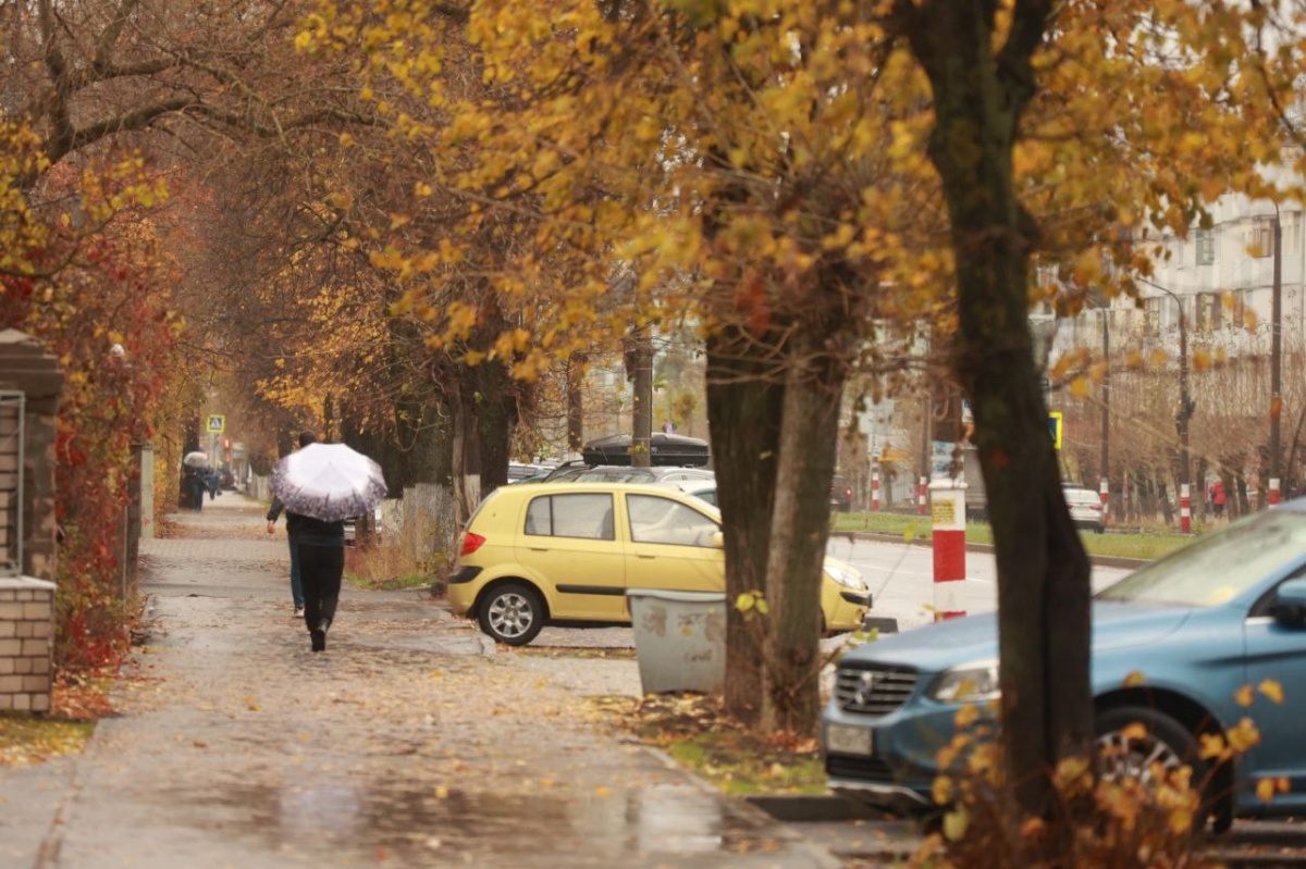 Мэр Дзержинска оценил два километра благоустроенного проспекта Ленина - фото 5