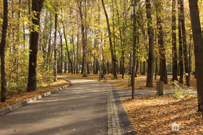 Фоторепортаж: золотая осень в Нижнем Новгороде - фото 57