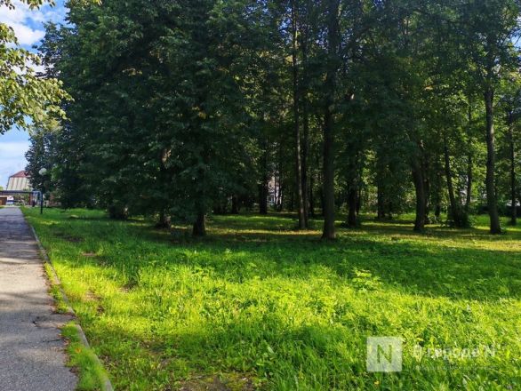 Один день в столице Золотой хохломы: уютный репортаж из Семенова в Нижегородской области - фото 9