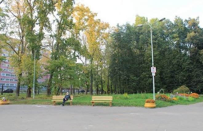 Концепции благоустройства парка Станкозавода и сквера на проспекте Ленина презентуют нижегородцам - фото 1