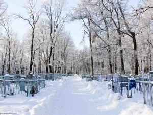 На нижегородских кладбищах спилят сотню аварийных деревьев