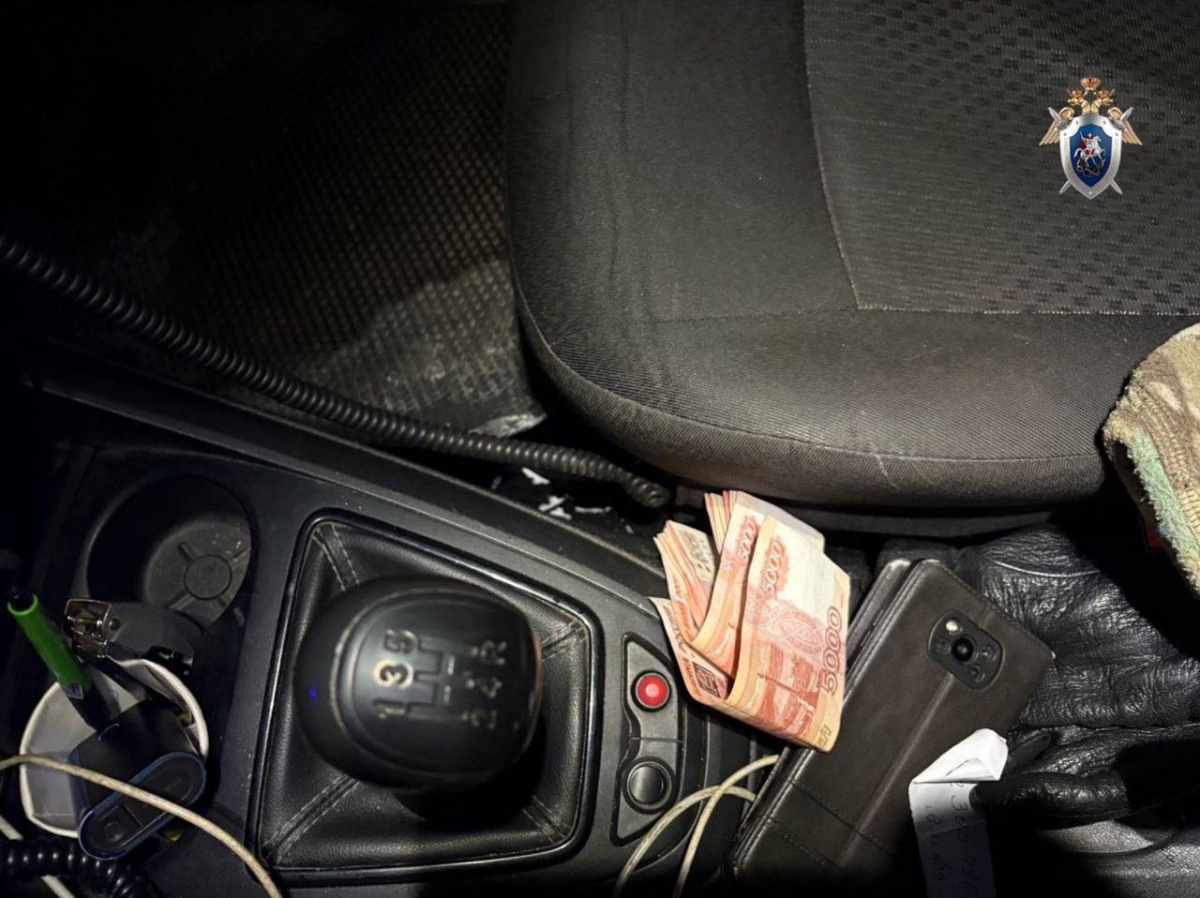 Мигранта заключили под стражу за попытку подкупить инспектора ДПС на Бору - фото 1