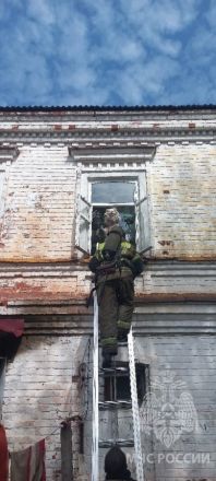 Нижегородские пожарные спасли двух собак из горящей квартиры - фото 4