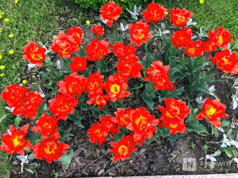 Стало известно, когда в Нижний Новгород вернется теплая погода - фото 1