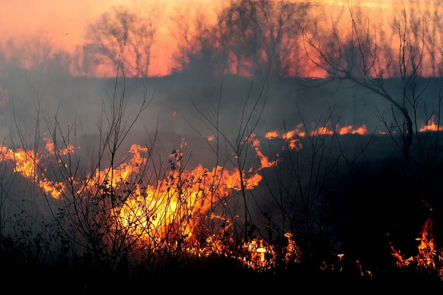 Высокая пожароопасность лесов прогнозируется в Нижегородской области 20–25 мая