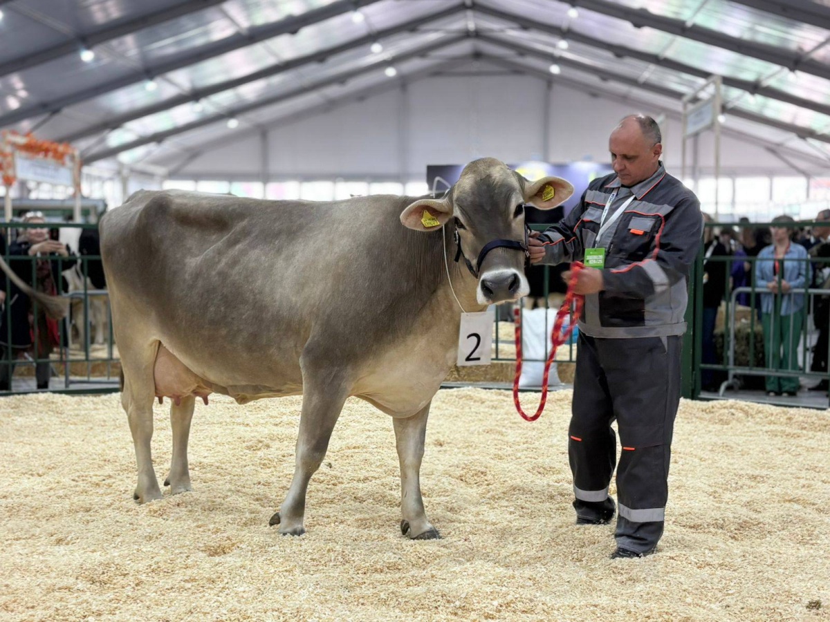 Более 40 нижегородских предприятий приняли участие в выставке &laquo;Золотая осень&raquo; - фото 2