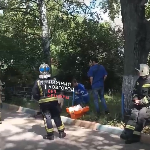 Труп застрявшего головой в заборе мужчины нашли в Нижнем Новгороде - фото 1
