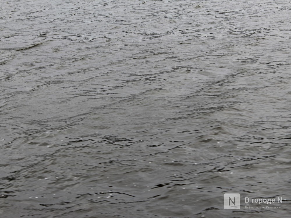15 тел за 10 дней выловили из водоемов Нижегородской области - фото 1
