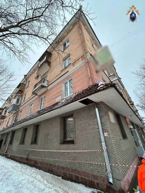 Уголовное дело возбудили из-за падения наледи на нижегородку с ребенком - фото 1