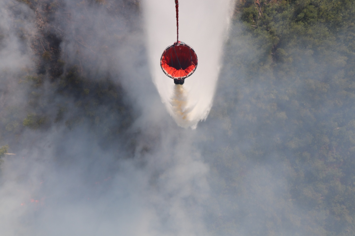 Два вертолета принимают участие в тушении лесного пожара в Воротынском районе - фото 2