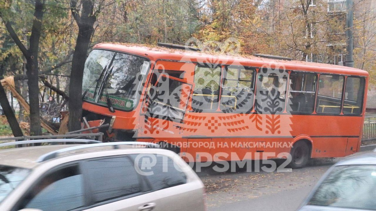 Перевозчик сообщил подробности ДТП с маршруткой и деревом в Нижнем Новгороде - фото 1