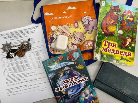 Рецензия на курсовую и сувенирная кружка: что забывают нижегородцы на канатке - фото 2