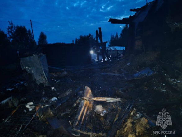 Смертельный пожар произошел в Нижегородской области - фото 2