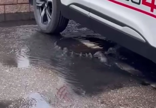 Фонтан бьет из канализационного люка в Нижнем Новгороде - фото 1