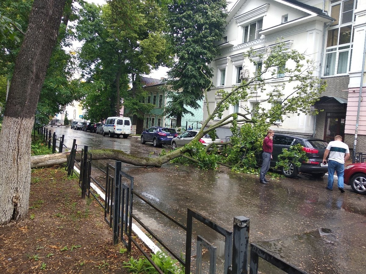 Машины завалило деревьями после урагана в Нижегородской области