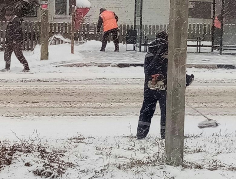 Косить в снегопад вышли коммунальщики в Арзамасском районе - фото 1