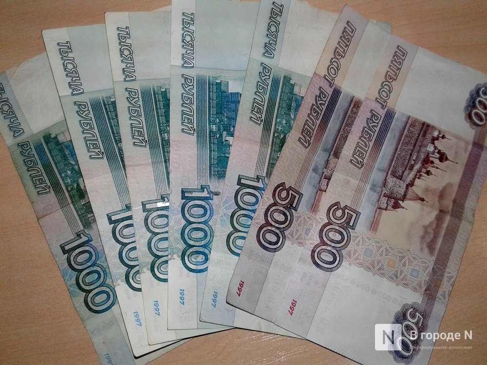 Прием заявок от организаций на получение субсидий начался в Нижегородской области - фото 1