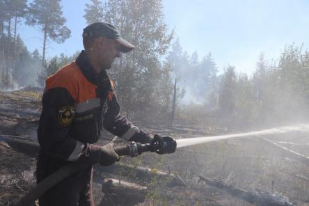 760 человек тушат лесной пожар в Воротынском районе