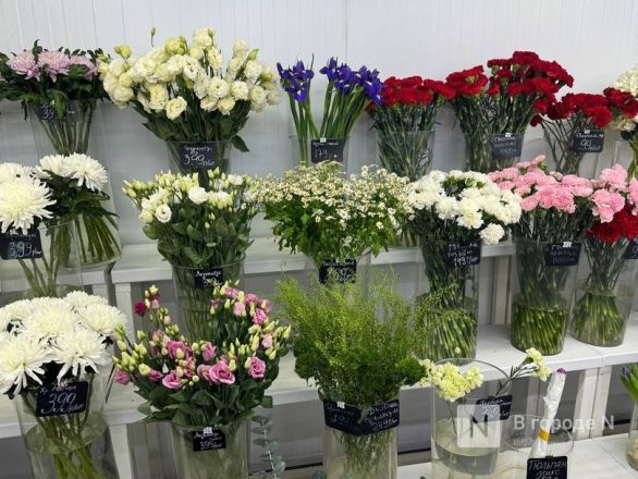 Мужчины, готовьтесь. Рассказываем, сколько стоят цветы к 8 марта в Нижнем Новгороде - фото 64