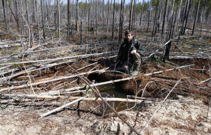 В Керженском заповеднике обнаружили медвежье жилище