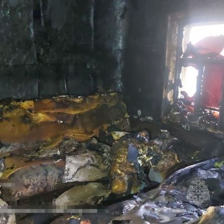 Дети устроили пожар в жилом доме в Нижегородской области - фото 2