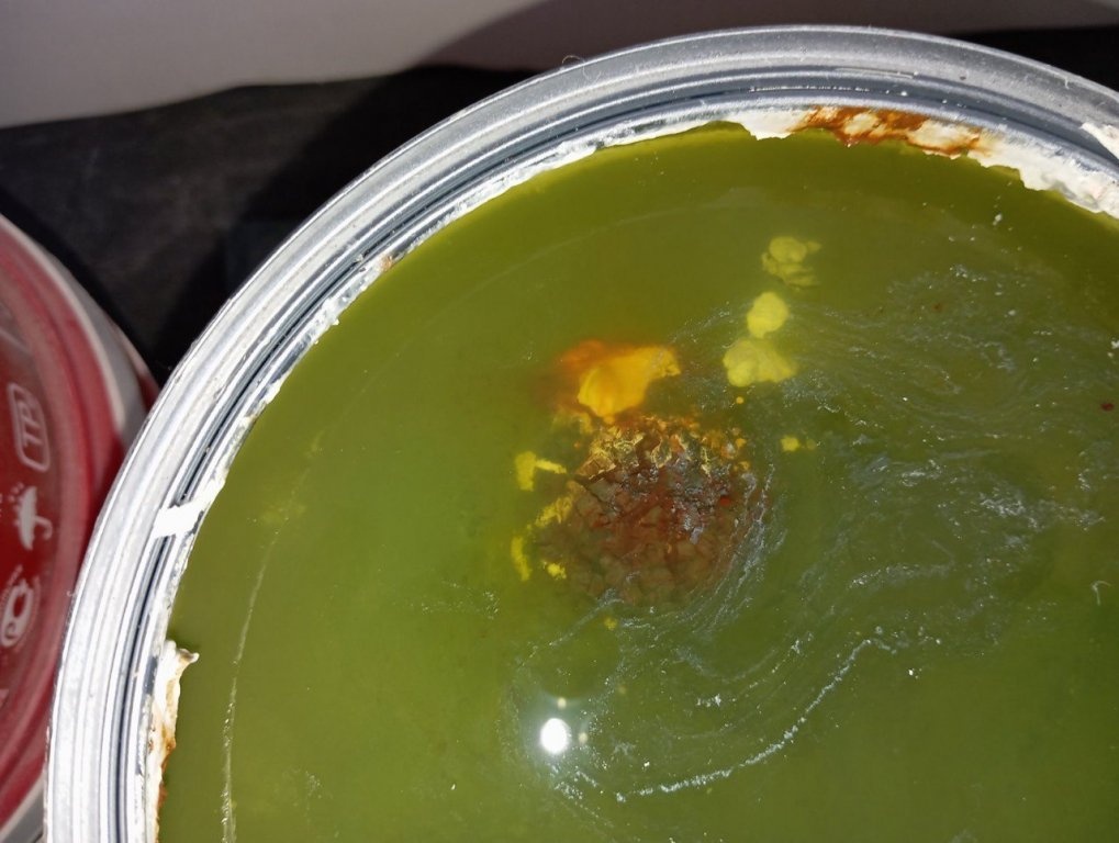 Нижегородка заплатила 50 тысяч рублей за краску с плесенью