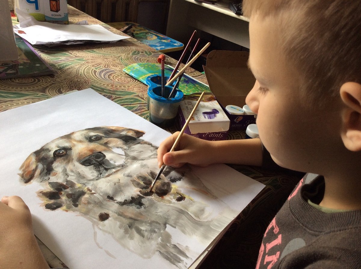 Девятилетний арзамасский мальчик меняет рисунки на корм для бездомных животных