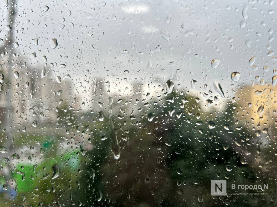 Сильные дожди обрушатся на Нижегородскую область в ближайшие два часа - фото 1