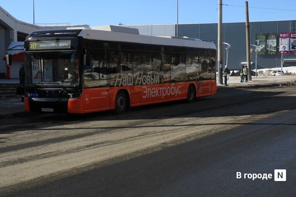 Нижегородцы неоднозначно восприняли продление маршрута электробуса на Автозаводе - фото 1