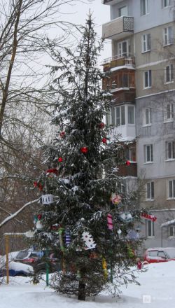 Пингвины, карусель и лунный каток: карта самых атмосферных новогодних локаций Нижнего Новгорода - фото 55