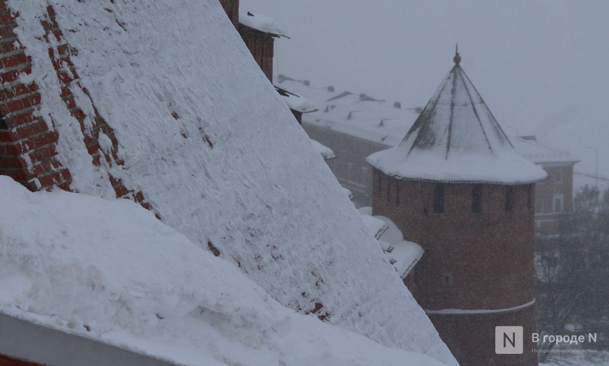 Изменят нашу жизнь: новые законы вступили в силу в Нижегородской области - фото 1