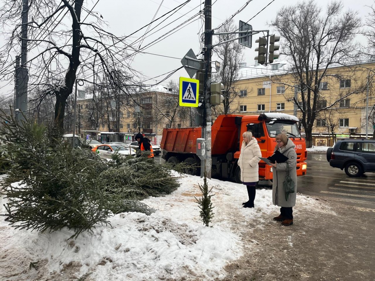 Больше 200 елок изъяли из незаконной продажи в Нижнем Новгороде