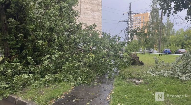 Опубликованы фото последствий мощного урагана в Нижнем Новгороде - фото 5