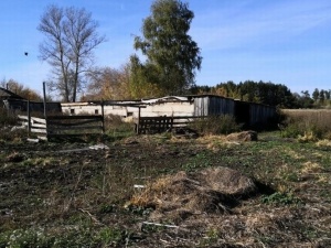 Свалку навоза и кормов для скота устроили сергачские фермеры на берегу реки