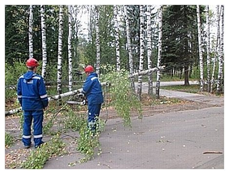 Ветер оставил без электричества жителей пяти районов Нижегородской области - фото 1