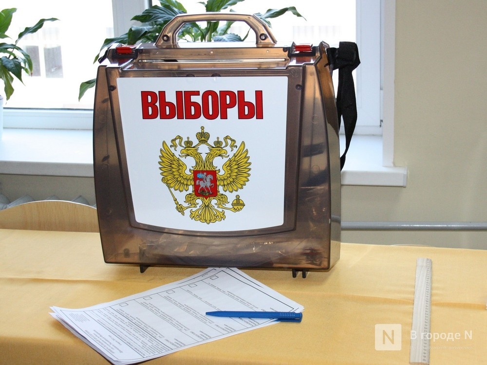 Трехдневные выборы начались в Нижегородской области - фото 1