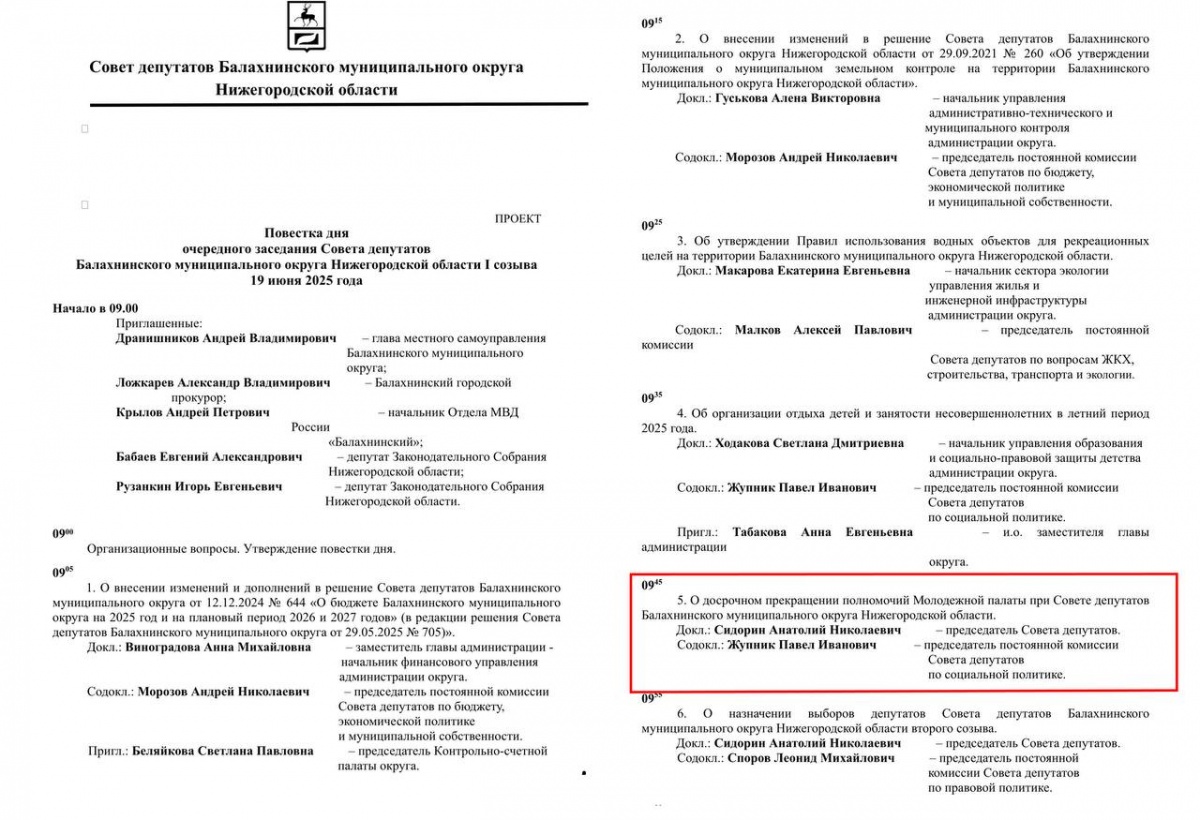 Молодежную палату в Балахне хотят распустить после кладбищенского скандала - фото 1