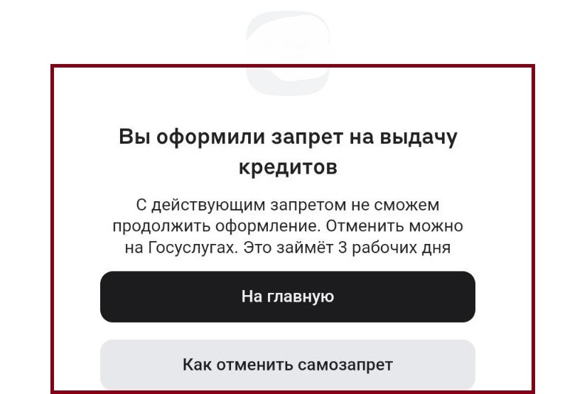 Как это работает?! Тестируем самозапрет на кредиты на Госуслугах - фото 4