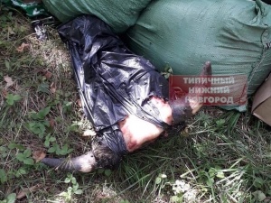 Свалку из коровьих голов и кишок обнаружил очевидец на Южном обходе