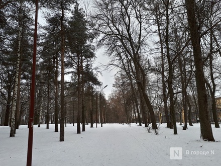 Сохранность деревьев должен обеспечить проектировщик парка &laquo;Швейцария&raquo; в Нижнем Новгороде