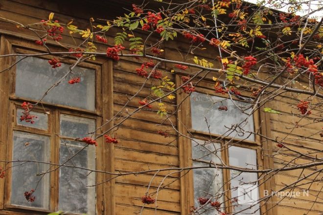 Фоторепортаж: золотая осень в Нижнем Новгороде - фото 71