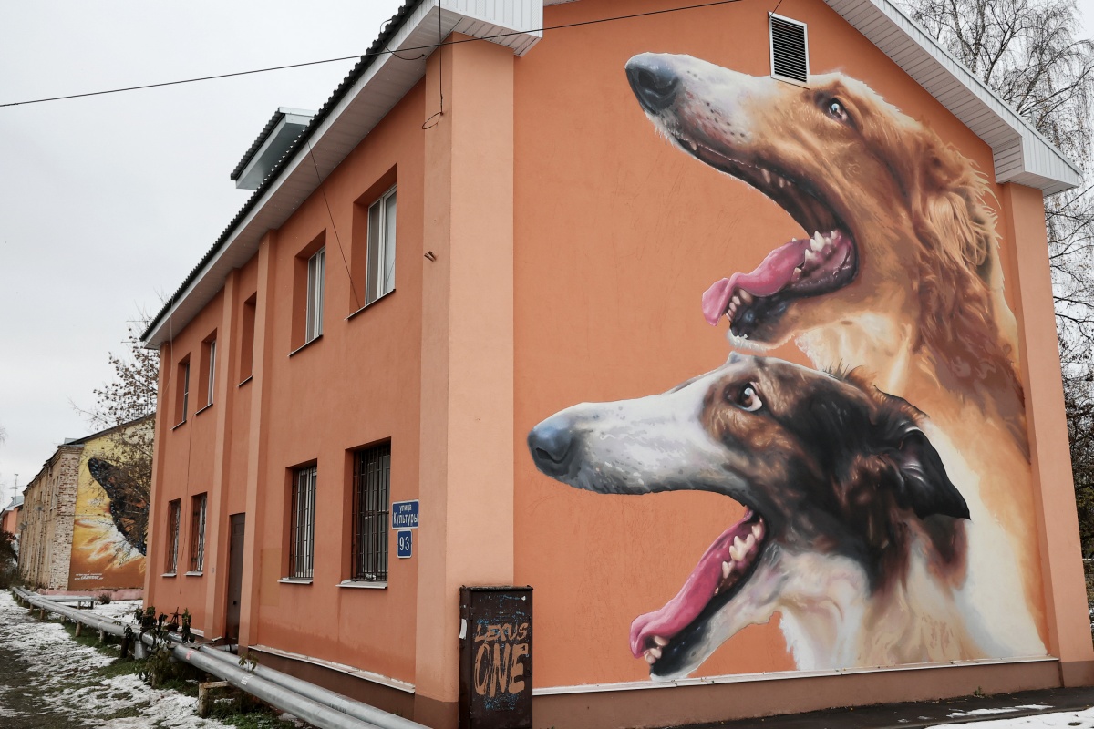 Русские борзые украсили фасад дома на улице Культуры - фото 1