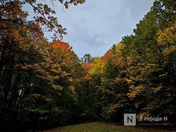 Та самая пушкинская осень: уютный фоторепортаж из Большого Болдина - фото 43