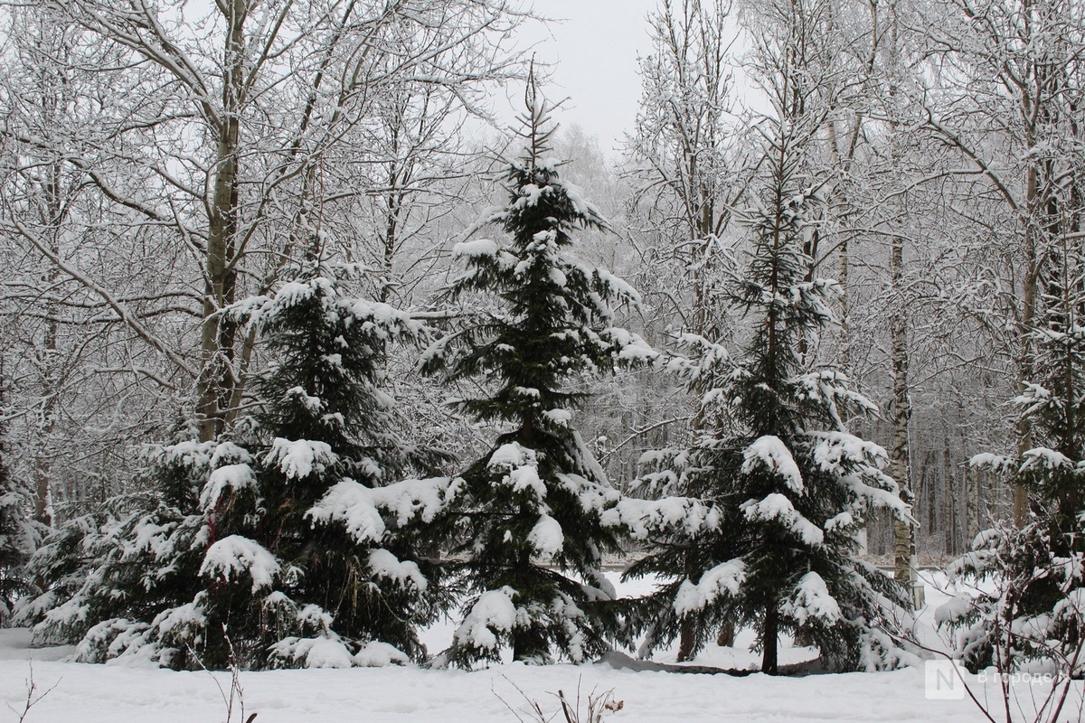 Февраль в Нижегородской области будет морозным и снежным 