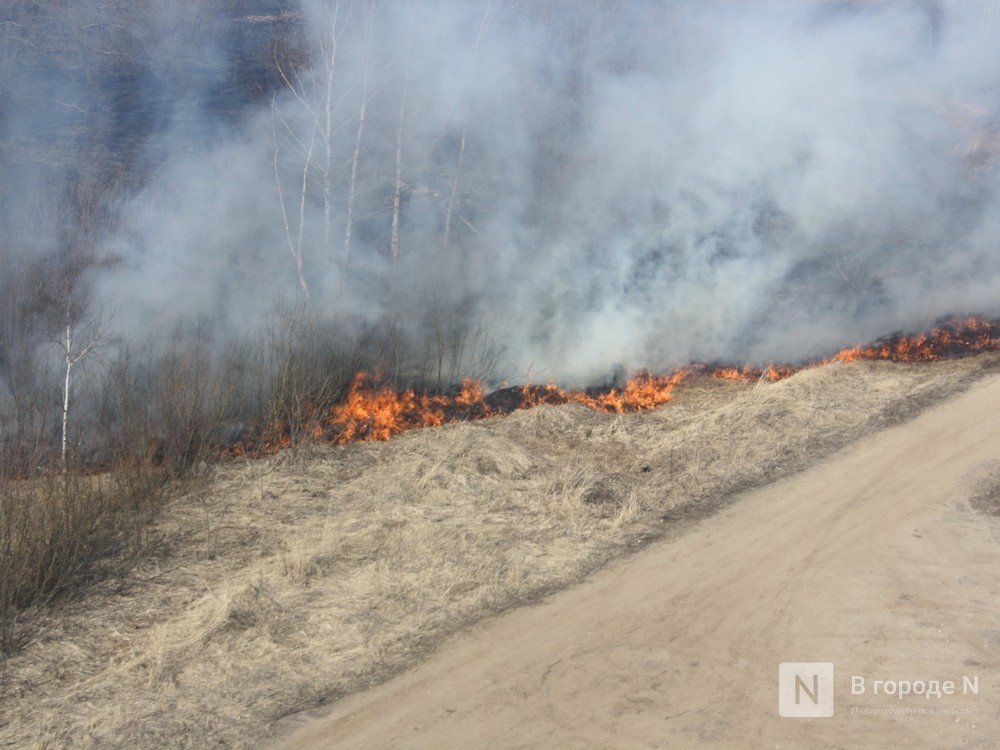 Почти 60 случаев загорания травы выявлено в Нижегородской области за сутки - фото 1