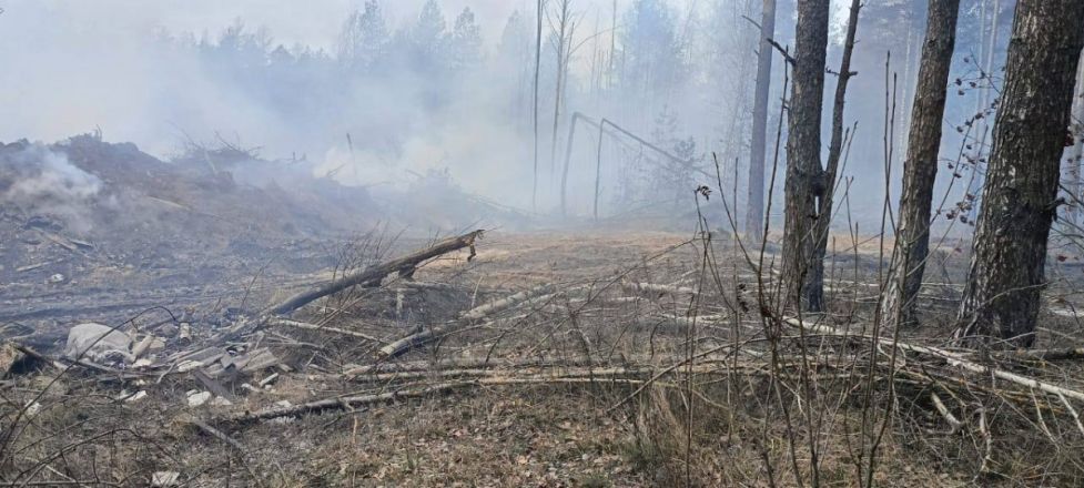 Незаконная свалка второй раз за сутки разгорелась в Нижнем Новгороде - фото 2