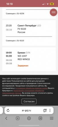 Рейс Нижний Новгород &mdash; Ереван перенесли девять раз 8 августа - фото 3