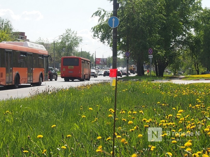 Нижегородцы требуют корректировки проекта газопровода в Ольгино
